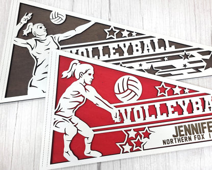 Sports Pennant - Volleyball