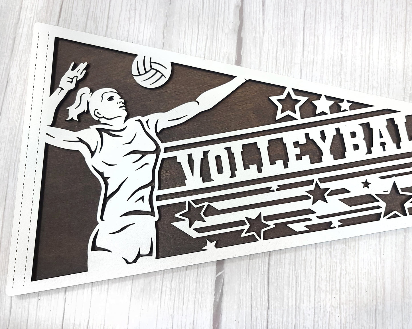 Sports Pennant - Volleyball